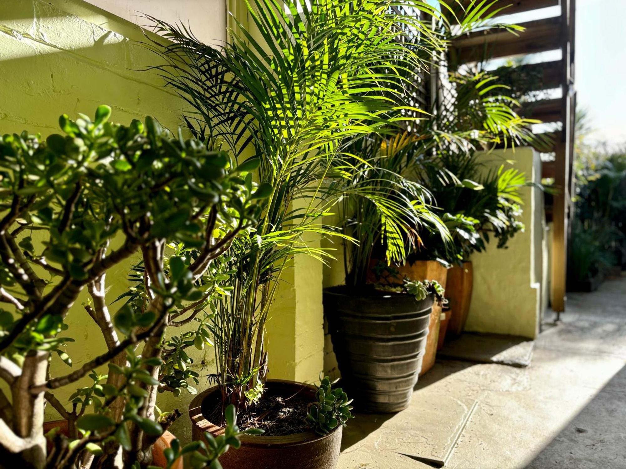 Kookaburra Gardens - 4 Stops From The City, Icc And Harbour Holiday home *